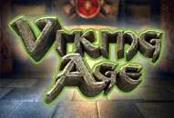 Viking Age — BITWIN